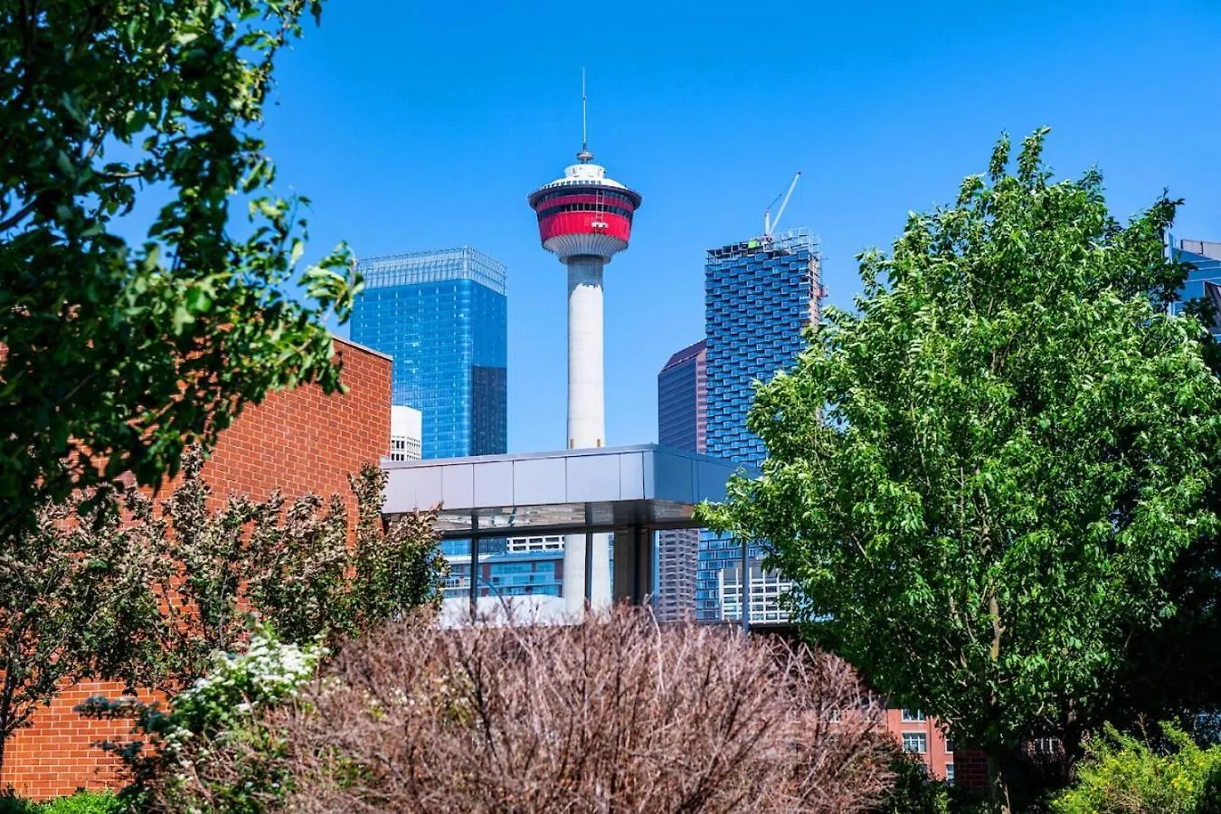 The Urban Peak On The 19Th Floor Of The Alura Apartment Calgary Canada